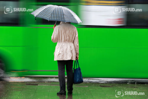 Улаанбаатарт 10 хэм дулаан, бороо үргэлжлэн орно